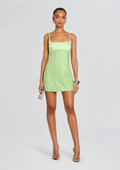 Monyca Sequin Dress