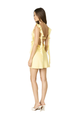 Fountain Mini Dress