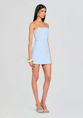 Poppi Heavy Crepe Strapless Mini Dress